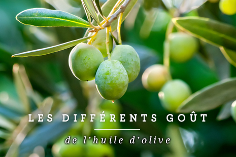 Les diff&eacute;rents  go&ucirc;t de l'huile d'olive